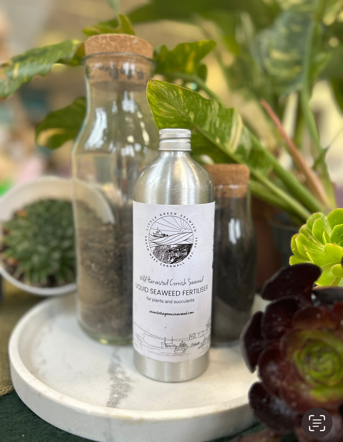 500ml liquid seaweed (concentrate) food for plants and succulents