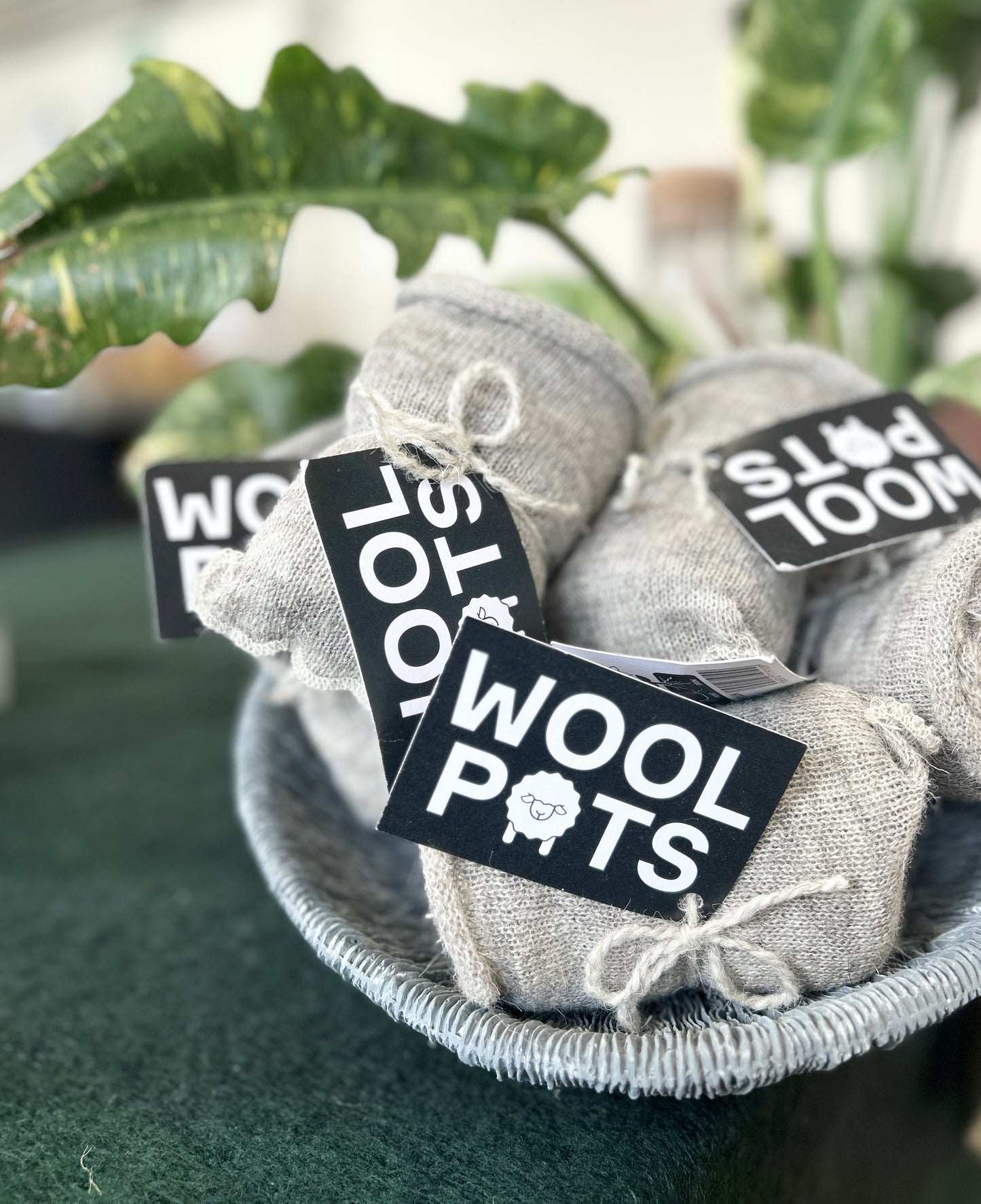 100% biodegradable wool pots